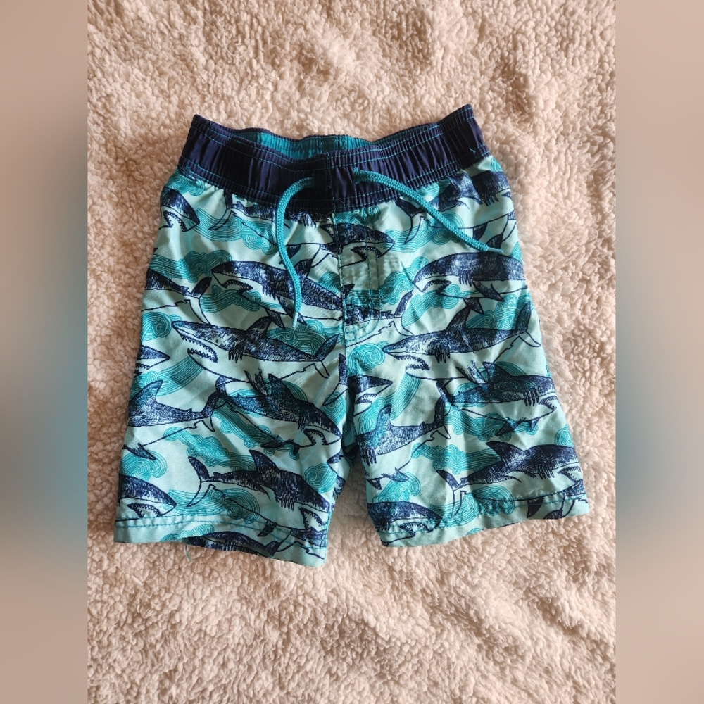 Swim Trunks